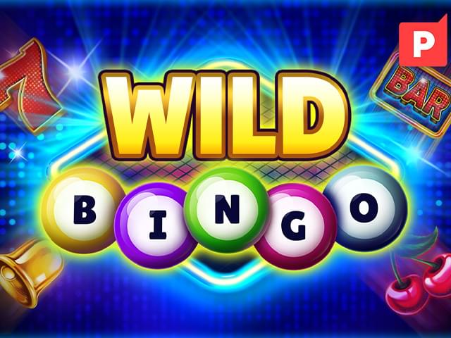 win555 Bingo Selvagem